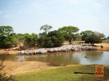 expedicao-pantanal-28