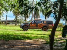 gaia_expedicao_pantanal_sul_fotos_haroldonogueirajr-650