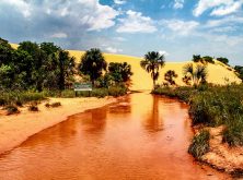 Cópia-de-GAIA_SerraGerais_TO_21_haroldonogueirajr-172