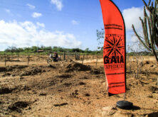 gaia_sertoes2023_photo_by_@haroldonogueirajr-18