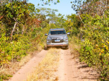 gaia_transpantaneira_24_photos_by_@haroldonoguierajr-240